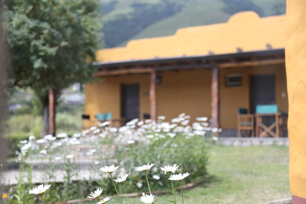 Posada La Guadalupe 타피델발레 외부 사진
